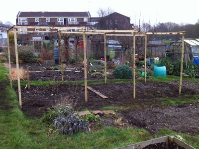 Fruit Cage, Fruit Bushes, Outdoor Garden Bench, Bird Netting, Allotment Gardening, Garden Veggies, Fruit Garden, A Fruit, Garden Structures