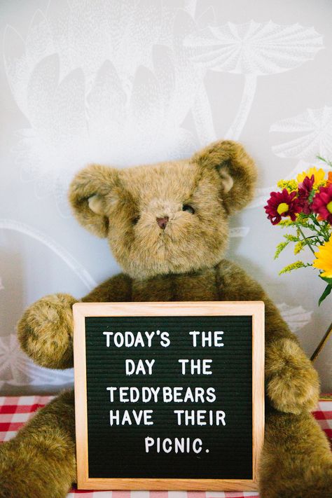 Teddy Bears Picnic Food, Bear Picnic Birthday Party, Oso Paddington, Teddy Bear Picnic Birthday Party, Teddy Bear Birthday Party, Picnic Baby Showers, Teddy Bear Day, Picnic Birthday Party, Teddy Bear Party