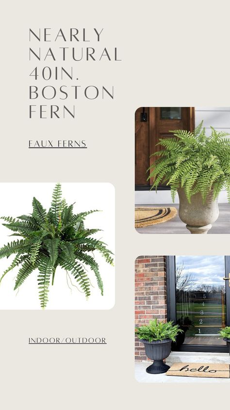 https://amzn.to/3oyDZh4 Faux Ferns For Front Porch, Faux Ferns On Porch, Fake Ferns On Front Porch, Fake Ferns, Outdoor Urns, Black Planters, Boston Fern, Patio Inspiration, Fern Plant