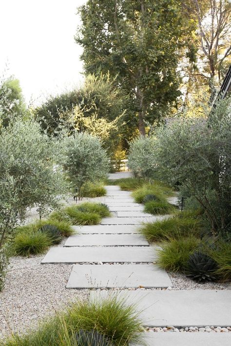 Outdoor Walkway, Gravel Garden, Coastal Gardens, Have Inspiration, Mediterranean Garden, Native Garden, Yard Design, Garden Landscape Design, House Landscape