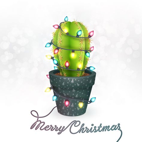 Cactus With Christmas Lights, Plant Christmas Tree, Cactus Christmas Trees, Cactus Pictures, Christmas Tree Fairy, Christmas Card Art, Frog Design, Christmas Cactus, Fairy Light