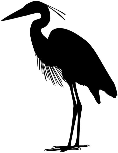 Great Blue Heron silhouette - Free Vector Silhouettes | Creazilla Heron Sketch, Heron Art, Furniture Upcycling, Silhouette Painting, Great Blue Heron, Silhouette Clip Art, Herons, Bird Silhouette, Animal Silhouette