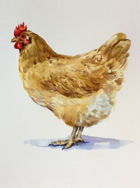 Turkey Paintings, Buff Chicken, Chicken Portrait, Farm Animal Paintings, Hen Farm, Buff Orpington, Chicken Drawing, Painting Impressionism, Rooster Painting