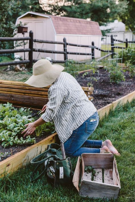 A Daily Something | Our Little Garden – An Update Gardening Photography, Things To Do At Home, Brasov, Garden Photography, Little Garden, Trieste, Slow Living, Kitchen Garden, Dream Garden