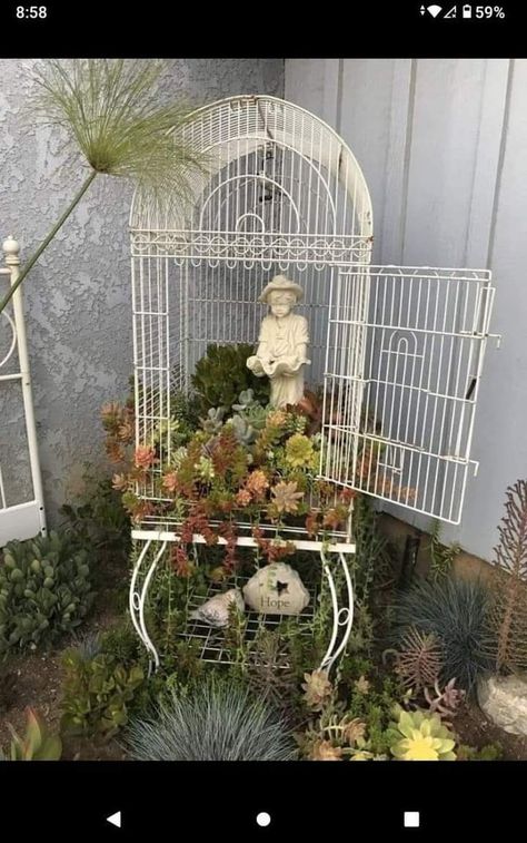 Vintage Bird Cage Decor, Birdcage Planter, Living Room Cozy, Bird Cage Decor, Succulent Garden Diy, Vintage Bird Cage, Garden Decor Projects, Home Backyard, Have Inspiration