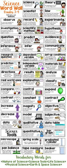 Science Word Wall for Grades 3-4 Vocabulary Wall, Science Word Wall, Science Room, Vocabulary Word Walls, Teaching Stem, Science Vocabulary, Science Words, Word Walls, 4th Grade Science