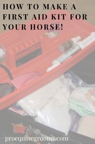 Discover the essential items to include in a comprehensive horse's first aid kit! From wound care to emergency supplies, find out what you need to ensure your horse's well-being. #HorseFirstAid #EquineCare #equestrianlife #horseriding #equestrian Horse First Aid Kit Checklist, Horse First Aid Kit, Horse First Aid, First Aid Kit Checklist, Equine Care, Horse Grooming, Emergency Supplies, Wound Care, Vital Signs