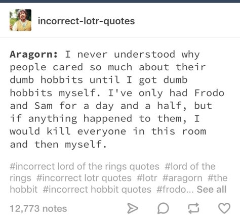 Aragorn Lotr, Taking The Hobbits To Isengard, Lotr Funny, Lord Of Rings, Lotr Art, Brooklyn 99, Lord Of The Ring, The Silmarillion, The Shire