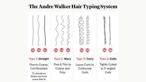 Wavy Hair Care Routine, Type 3 Curly Hair, Hair For Guys, 3 Curly Hair, Hair Type Chart, Perfect Wavy Hair, Hair Types Men, Wavy Hair Tips, Wavy Hair Care