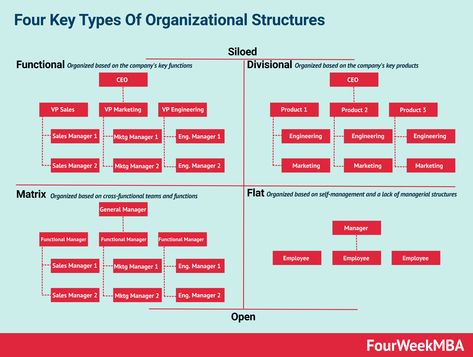 What Is An Organizational Structure And Why It Matters - FourWeekMBA Business Organizational Structure, Organisational Development, Flat Organization, Innovation Hub, Organizational Design, Organizational Leadership, Distribution Strategy, Career Motivation, Functional Group