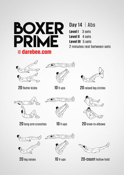 Boxer Prime: 30-Day Fitness Program Boxer Prime, Boxer Abs, Best Abs Workout, Boxer Workout, Boxing Workout Routine, Home Boxing Workout, Boxer Training, Abs Workout At Home, Boxing Training Workout