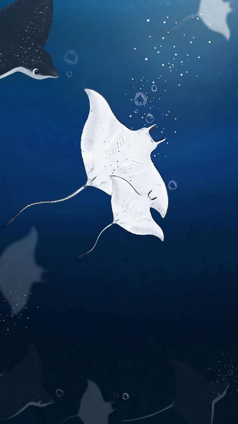 Stingray Wallpaper Aesthetic, Stingray Background, Sting Ray Wallpaper, Manta Ray Wallpaper, World Iphone Wallpaper, Stingray Wallpaper, Iphone Wallpaper Dark, Dark Mother, Fauna Marina