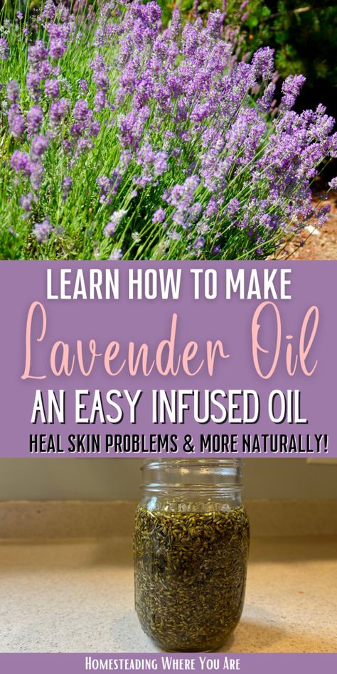 Lavender Oil Recipes, Homemade Lavender Oil, Make Lavender Oil, Make Skincare, Survival Preparedness, Lavender Crafts, Fresh Rose Petals, Infused Oil, Medicinal Herb