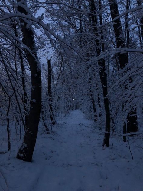 Aesthetic Snowy Forest, Snowy Scenery Aesthetic, Winter Wood Aesthetic, Winter Snowy Aesthetic, Cold And Dark Aesthetic, Nicocore Aesthetic, Snowy Dark Forest, Dark Snowy Aesthetic, Forest Snow Aesthetic