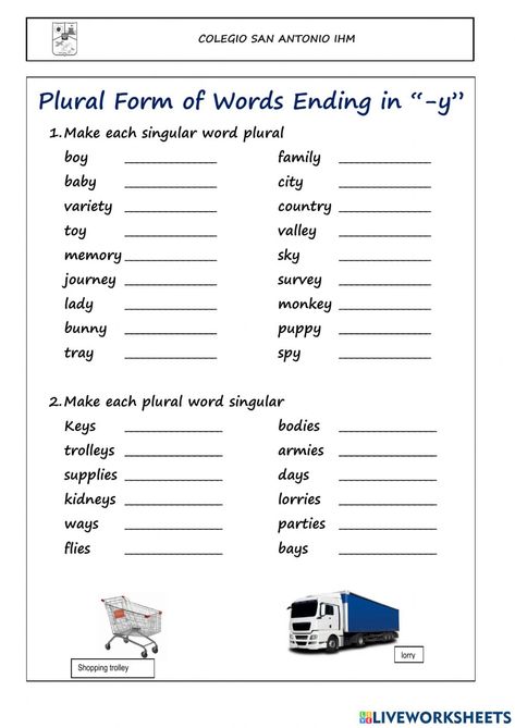 Y Worksheet, Plurals Worksheets, Plural Nouns Worksheet, Plural Words, Singular And Plural Nouns, Singular Nouns, Worksheets For Grade 3, Nouns Worksheet, English Activities For Kids