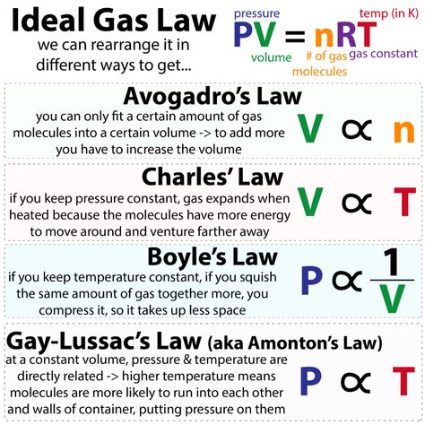 Peeps demonstrating the ideal gas laws – The Bumbling Biochemist Ideal Gas Law Chemistry, Gas Laws Chemistry Notes, Gas Laws Chemistry, Mcat Tips, Studying Tricks, Academic Notes, Chem Notes, Happy Easter Peeps, Gas Laws