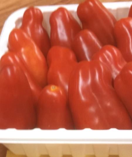 Preserving San Marzano Tomatoes Freezing San Marzano Tomatoes, Canning San Marzano Tomatoes, Fresh San Marzano Tomatoes Recipes, San Marzano Tomatoes Recipes, Garden Tomato Recipes, San Marzano Tomato Sauce, Oven Dried Tomatoes, Preserving Tomatoes, Tomatoes Recipes