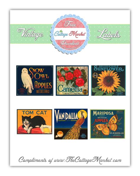 Great Copyright Free Vintage Crate Labels ready to download and print...enjoy! Vintage Crate, Cottage Market, Dollhouse Printables, Crate Label, Thankful Thursday, Labels Printables Free, Free Labels, Printable Labels, The Cottage