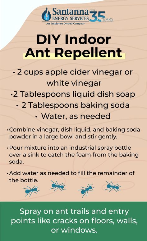 DIY Eco-Friendly Indoor Ant Repellent How To Keep Ants Out Of House, Natural Ant Repellant For Home, Ants In House Get Rid Of, Ant Repellent Diy Indoor, Ants Repellent Diy, Ant Repellant, Insects Repellent, Natural Plant Fertilizer, Repellent Diy