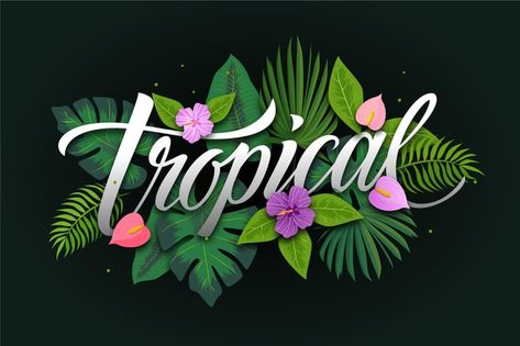 Tropical Lettering, Lettering With Flowers, Tropical Logo, Tropical Poster, Logo Floral, Graphic Design Agency, Tropical Destinations, Pop Art Wallpaper, Flower Letters