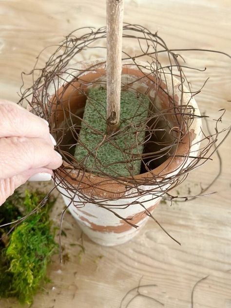 I want to show you how to make a faux topiary that looks real. I absolutely love topiaries!! I prefer real topiaries, but I don't have much luck keeping them alive inside the house. Read on, if you struggle with them too. You won't believe how easy and inexpensive this project is! If you start with realistic looking greenery stems it will be hard to tell the difference in your faux topiary and a real topiary. A collection of them makes a beautiful display in your home decor. Decorating With Topiaries Indoors, Teacup Topiary, Thanksgiving Topiary, Pinecone Topiary Diy, Diy Topiaries, Fall Topiaries Diy, Fall Floral Decor Ideas, Christmas Outdoor Urns, Christmas Topiary Ideas