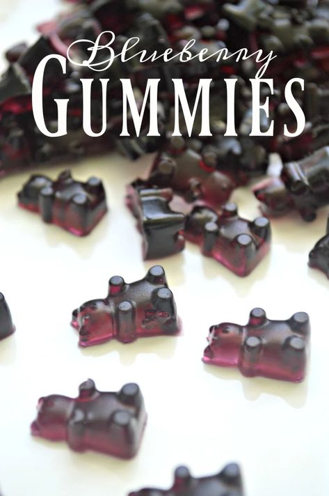 how to make blueberry gummies Blueberry Gummies, Homemade Gummy Bears, Healthy Gummies, Homemade Gummies, Gummies Recipe, Elderberry Gummies, Blueberry Desserts, Kids Healthy, Blueberry Recipes