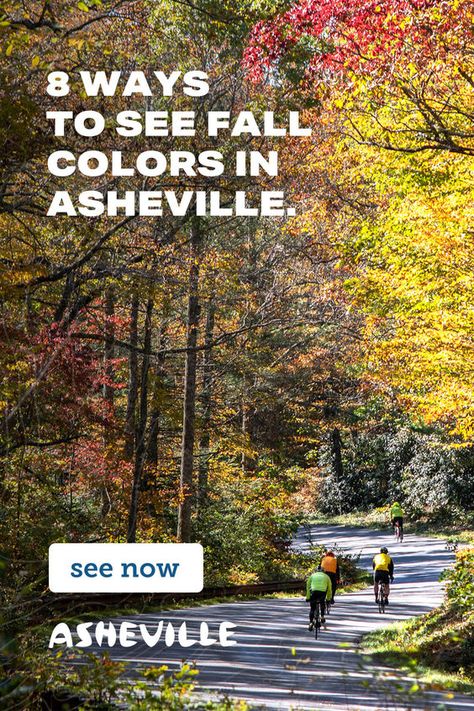 Fall in Asheville means festivals, adventures and changing leaves that peak all season long. Changing Leaves, Asheville, Fall Colors, Places To Visit, How To Plan, Pins