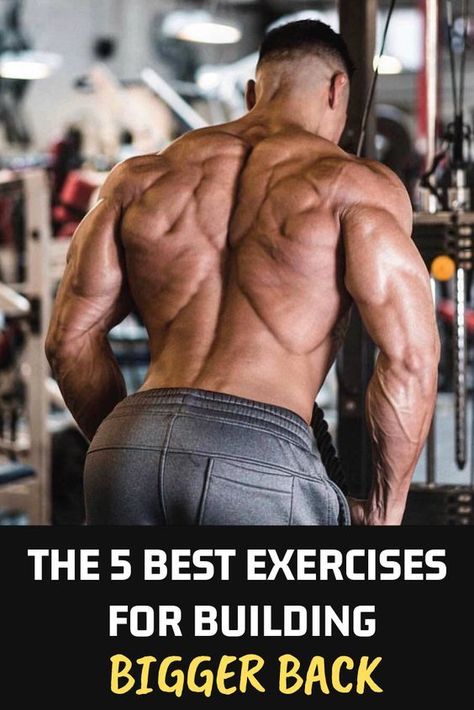 Exercises Women, Athletic Inspiration, Back Workout Bodybuilding, Men Exercise, Good Back Workouts, Body Build, Training Workouts, Muscle Anatomy, Best Exercises