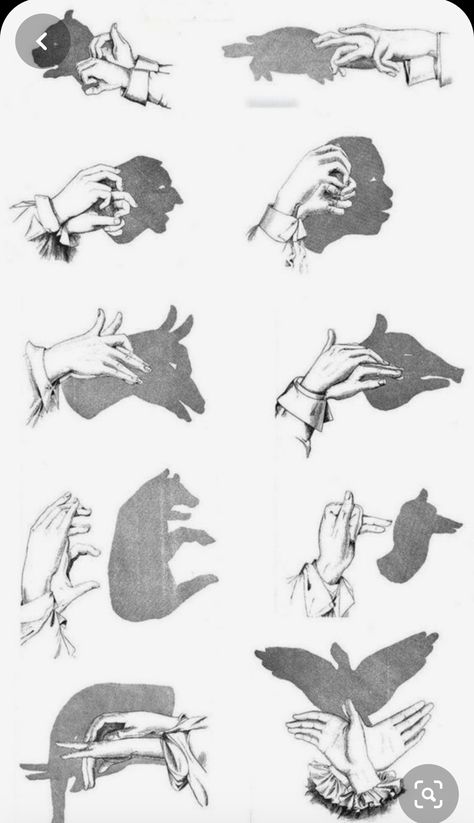 Shadow Puppets With Hands, Hand Shadows, Hand Reference, Shadow Art, Shadow Puppets, Hand Puppets, Cool Art Drawings, Art Inspiration Drawing, Mode Vintage