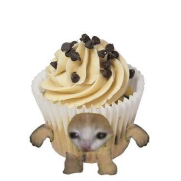 Cat As Food, Cats As Food, Muffin Cat, Crying Cat Costume, Bread Cat, Cursed Cat, Banana Cat, Cat Cupcakes, Funny Cat Photos