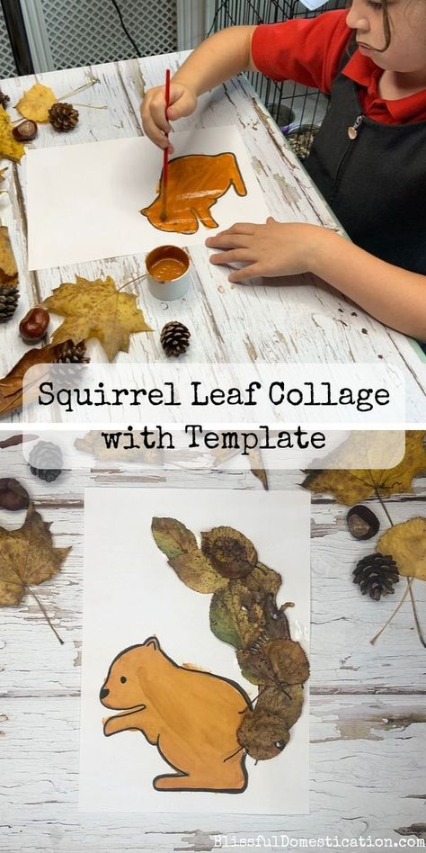 Leaf Collage, Squirrel Art, Leaf Animals, Tree Study, Free Hand Drawing, Leaf Crafts, Animal Crafts For Kids, Autumn Crafts, Classroom Crafts