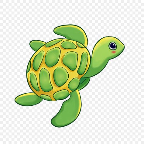 Turtle Clipart, Turtle Png, Plant Cartoon, Ocean Theme Classroom, Cartoon Turtle, Turtles Funny, Tortoise Turtle, Turtle Pattern, Clipart Cartoon