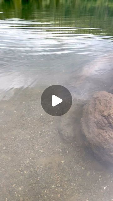 Tika Chotika Poulsen on Instagram: "Rattlesnake lake ❤️#naturelovers #pacificnorthwest #pnw #washingtonstate #rattlesnaklake" Wonders Of Nature, July 31, Washington State, Amazing Nature, Pacific Northwest, Natural Wonders, Beautiful Places, Wonder, Lake