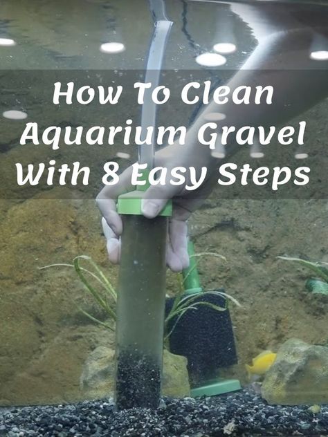 Have you ever watched your fish playing in beautifully clear aquarium water, and wished that your fish tank was as clean as theirs? If so, you should definitely read our overview of how to clean aquarium gravel. If you use sand, you should be reading how to clean aquarium sand. Fish love to hide in their homes beneath rocks and plants in the aquarium gravel. #aquarium Cleaning Aquarium Tanks, Glow In The Dark Aquarium, How To Clean A Fish Tank Aquarium, Fish Tank In Classroom, How To Clean A Fish Tank, Clean Fish Tank, Self Cleaning Fish Tank, Best Whey Protein Powder, Fish Tank Gravel