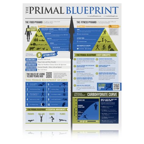 The Primal Blueprint Paleo Food Pyramid, Primal Blueprint Recipes, Primal Blueprint, Primal Diet, Paleo For Beginners, Paleo Life, Food Pyramid, Workout Posters, Paleo Lifestyle