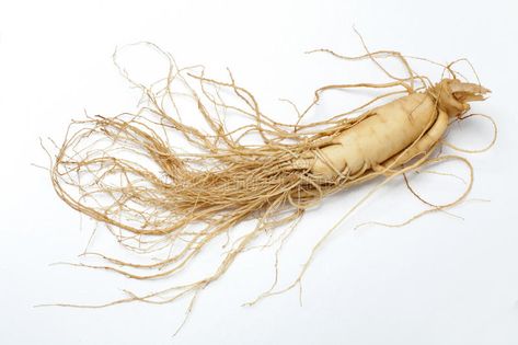 Ginseng root. A ginseng on a white background , #spon, #root, #Ginseng, #ginseng, #background, #white #ad Growing Ginseng, Roasted Dandelion Root, David Wolfe, Korean Ginseng, Coffee Substitute, Natural Fertility, Red Ginseng, Herbal Tinctures, Dandelion Root