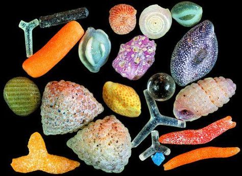 Sand Under Microscope, Under Microscope, Under A Microscope, Divine Mother, Grain Of Sand, Things Under A Microscope, Art Style Inspiration, Color Textures, The Sound