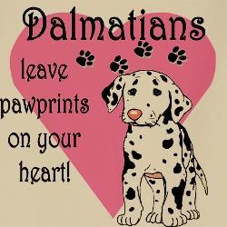 dalmatians cooking | Dalmatian Pawprint Aprons | Dalmatian Pawprint Cooking Aprons for Men .. Dalmatian Quotes, Apron Ideas, Cooking Aprons, 101 Dalmations, Dalmatian Puppy, Cute Little Puppies, Disney Favorites, Mad Dog, 101 Dalmatians