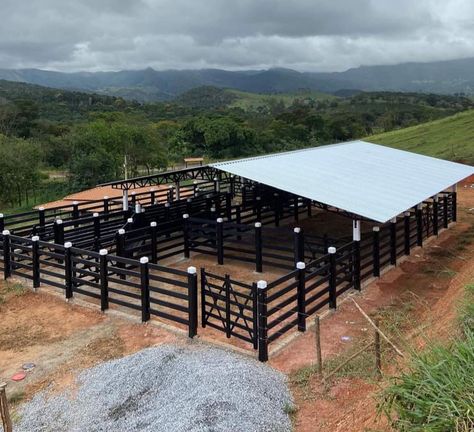 Cattle Farm Design, Cow Barn Ideas, Goat Farming Ideas, Goat Pen Ideas, Cattle Barn Designs, Poultry Farm Buildings, Cow Shed Design, Cattle Housing, Cattle Facility