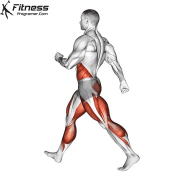 Workout Anatomy, Running Training Programs, Best Cardio Exercises, Walking Steps, Dynamic Stretching Exercises, Cardiovascular Exercises, Free Workout Plans, Cardio Exercises, Fat Burning Workout Routine