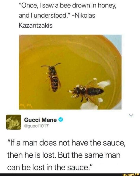 Bee Movie Memes, Lost In The Sauce, Collateral Beauty, Bee Movie, Movie Memes, The Sauce, Tumblr Funny, Popular Memes, Funny Posts