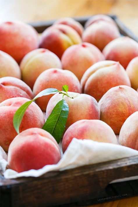 Nectarine Fruit, Vegetables Photography, River Park, Peach Trees, Harvest Time, Peaches N Cream, Stone Fruit, Nectarine, Delicious Fruit