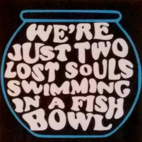 Song Lyrics by Pink Floyd - "We're Just Two Lost Souls Swimming in a Fish Bowl" from the song "Wish You Were Here" #musicquotes #lost #in #music #quotes Two Lost Souls, Pink Floyd Lyrics, Pink Floyd Poster, Pink Floyd Fan, Lost Souls, Wish You Were Here, Lost Soul, Wish You Are Here, Fish Bowl