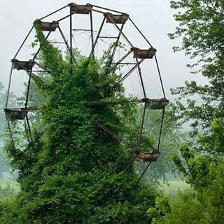 Lake Shawnee Amusement Park Lake Shawnee Amusement Park, Derelict Buildings, Abandoned Cities, Fantasy Setting, Foto Art, Wild Nature, Ghost Towns, Abandoned Houses, Amusement Park