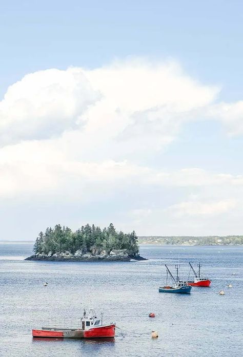 Is Lubec, Maine Worth Visiting? 15 Best Things To Do (2024) - New England Wanderlust Lubec Maine, England Road Trip, Maine New England, New England Road Trip, Acadia National Park, New Brunswick, Water Colors, Whale Watching, Salt And Water