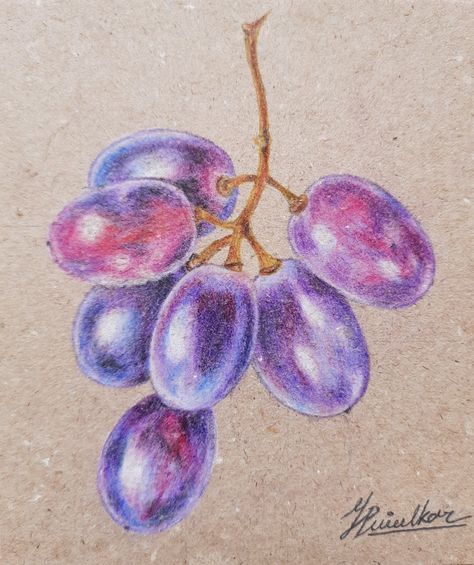 Food Drawing With Colour Pencils, Half Fruit Drawing, Grapes Drawing Colour Pencil, Colored Pencil Fruit Drawing, Nature Color Pencil Drawing, Fruit Color Pencil Drawing, Grapes Drawing Pencil, Realistic Colored Pencil Drawings Easy, Fruits Drawing Pencil