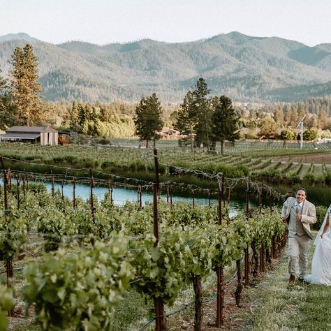 🍷 Ocala and Zandra’s wedding day is now on the blog (!!) This spring wedding was a magical celebration nestled in the picturesque Applegate Valley. Surrounded by breathtaking mountains, with a gentle, cool breeze sweeping across the vineyard – the scene was set for a perfect day. The vibrant live band played soulful melodies, keeping spirits high and guests dancing throughout the night. The décor and ambiance reflected Zandra and Ocala’s relaxed and easygoing personalities. The vineyard was... Spring Vineyard Wedding, Live Band, A Perfect Day, Vineyard Wedding, Spring Wedding, Wedding Day