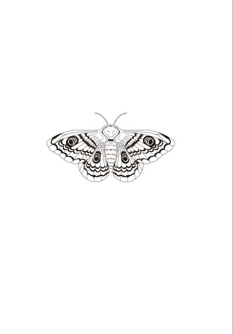 Masculine Fine Line Tattoo, Line Moth Tattoo, Fine Line Tattoo For Men, Fineline Moth Tattoo, Moth Tattoo Fine Line, Nature Fine Line Tattoo, Moth Tattoo Men, Fine Line Moth Tattoo, Fine Line Nature Tattoo