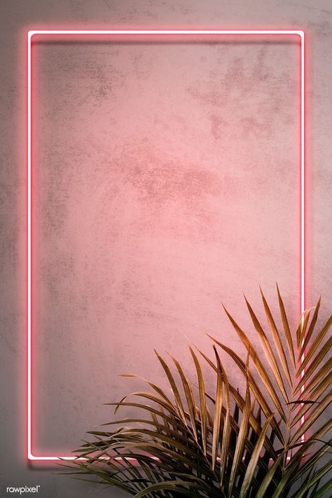 Neon Frame, Instagram Background, Instagram Frame Template, Framed Wallpaper, Neon Wallpaper, Instagram Wallpaper, Flower Background Wallpaper, Wallpaper Vintage, Iphone Wallpaper Vintage