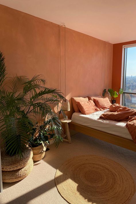 Medlar Room With Colored Wall, Coloured Bedroom Walls, Limewash Pink Walls, Pink Terracotta Bedroom, Light Orange Bedroom Walls, Orange Limewash Walls, Peach Limewash, Orange Pink Room, Terracotta Limewash Walls